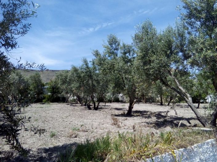 Image No.45-3 Bed Property for sale