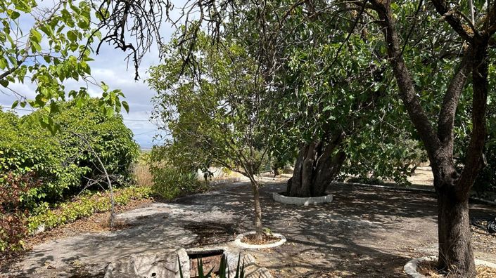 Image No.47-3 Bed Cortijo for sale