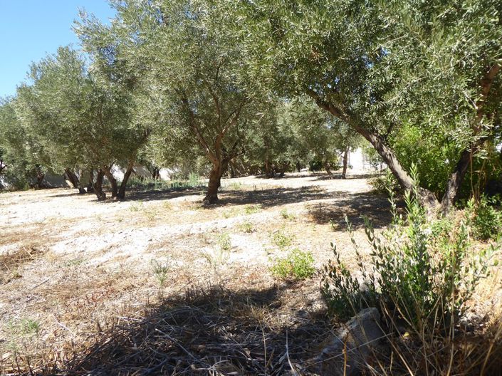 Image No.50-3 Bed Cortijo for sale