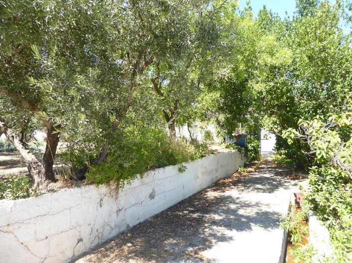 Image No.51-3 Bed Cortijo for sale