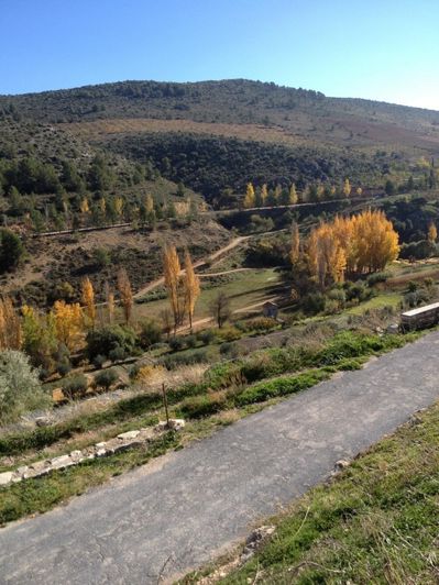 Image No.5-4 Bed Cortijo for sale