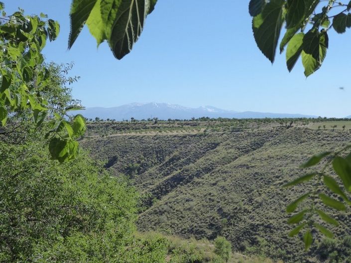 Image No.7-6 Bed House for sale