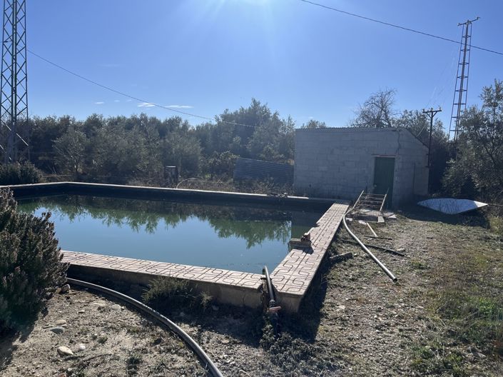 Image No.33-5 Bed Cortijo for sale