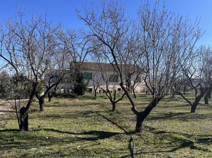 Image No.34-5 Bed Cortijo for sale