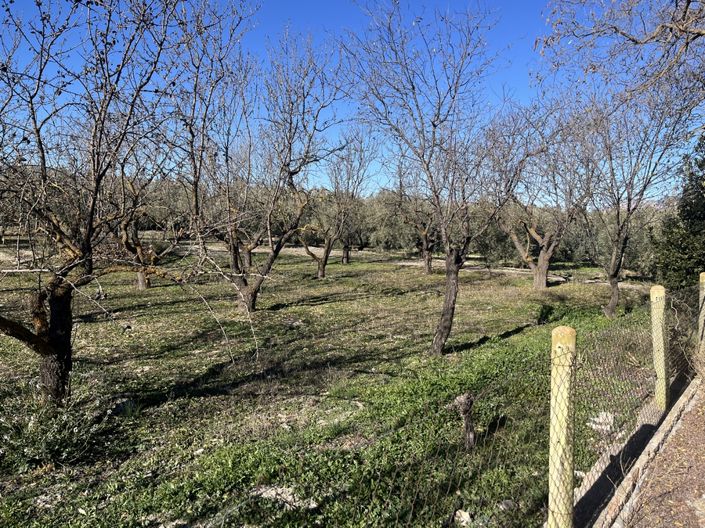 Image No.5-5 Bed Cortijo for sale