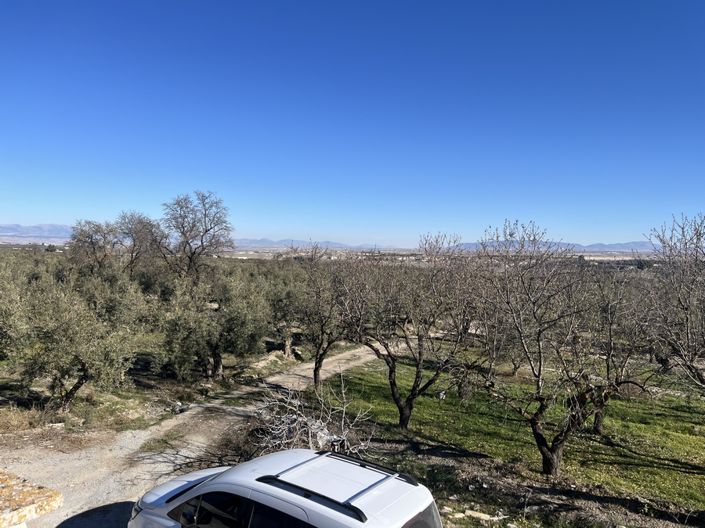 Image No.7-5 Bed Cortijo for sale