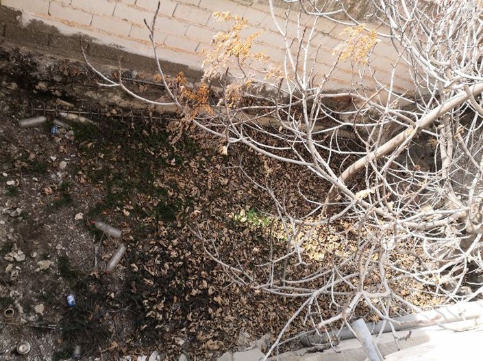 Image No.19-Propriété de 4 chambres à vendre à Benamaurel