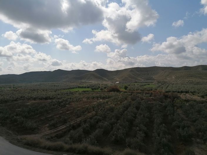 Image No.12-Maison de 5 chambres à vendre à Cullar