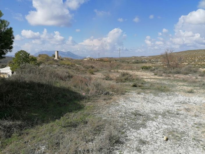 Image No.13-Maison de 5 chambres à vendre à Cullar