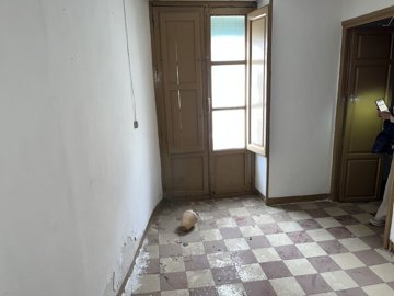 v3046256