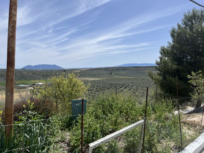 Image No.5-Maison de 2 chambres à vendre à Fontanar