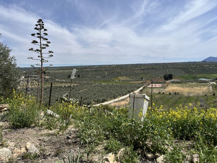 Image No.6-2 Bed House for sale