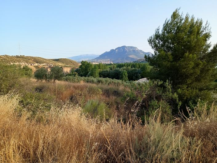 Image No.12-Maison de 7 chambres à vendre à Cortes de Baza