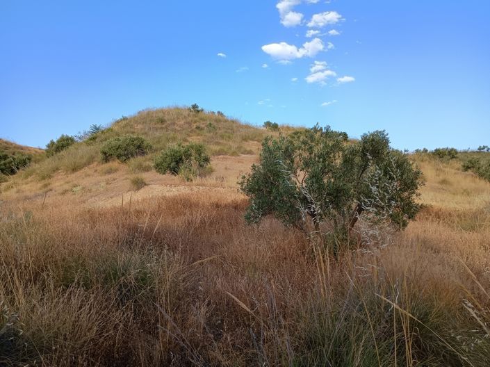 Image No.13-Maison de 7 chambres à vendre à Cortes de Baza