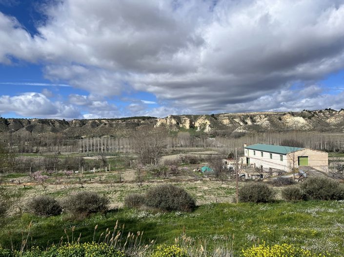 Image No.4-Maison de 3 chambres à vendre à Cortes de Baza