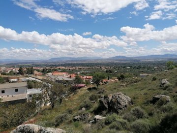 v3065244