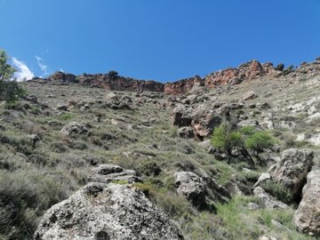 v3065245