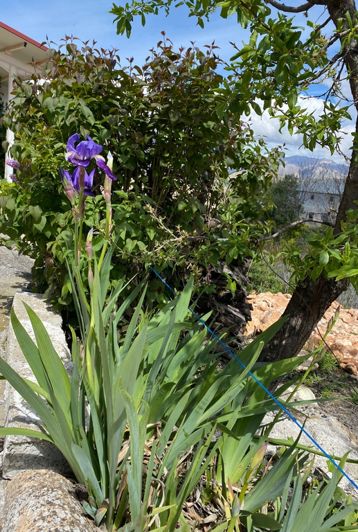 Image No.48-Propriété de 3 chambres à vendre à Costa Tropical