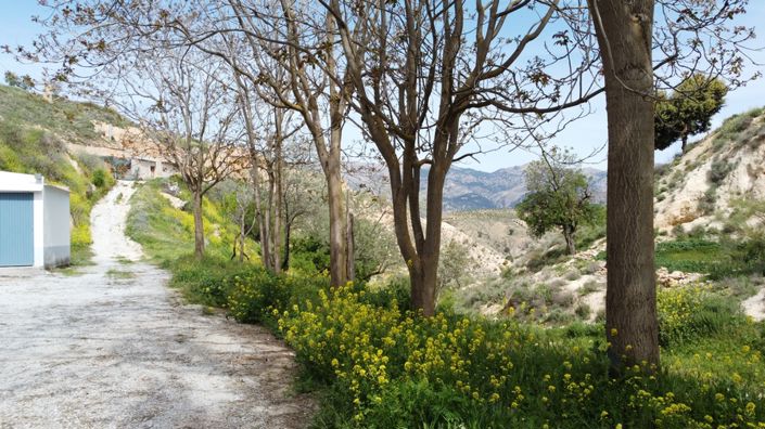 Image No.27-Maison de 3 chambres à vendre à Costa Tropical