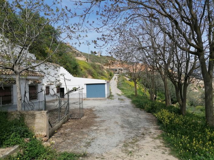 Image No.29-3 Bed House for sale