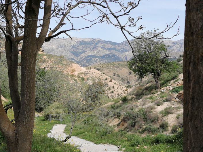 Image No.5-3 Bed House for sale