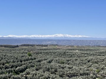 v3066044
