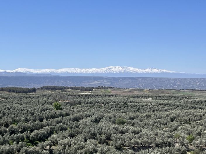 Image No.3-3 Bed House for sale