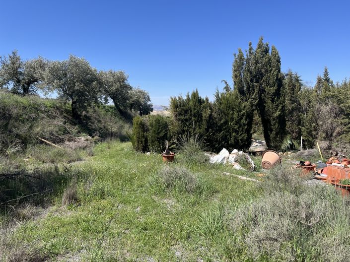 Image No.29-3 Bed House for sale