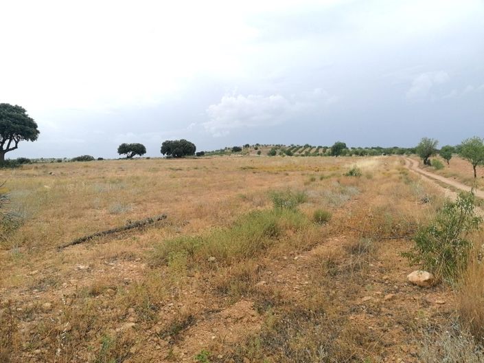 Image No.37-3 Bed Cortijo for sale