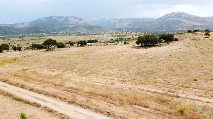 Image No.10-3 Bed Cortijo for sale