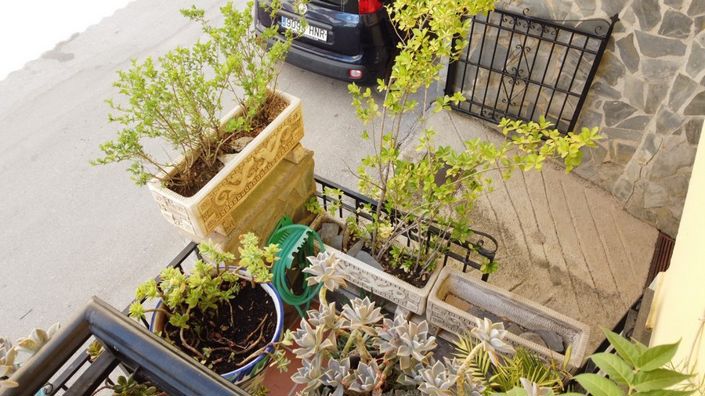 Image No.16-Propriété de 3 chambres à vendre à Baza