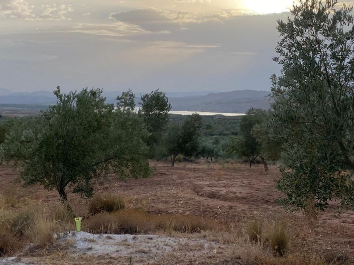 Image No.11-Propriété de 1 chambre à vendre à Zújar