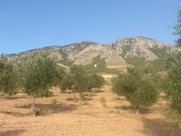 Image No.12-Propriété de 1 chambre à vendre à Zújar