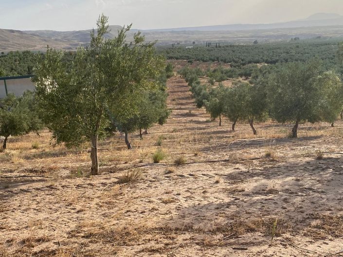 Image No.13-Propriété de 1 chambre à vendre à Zújar