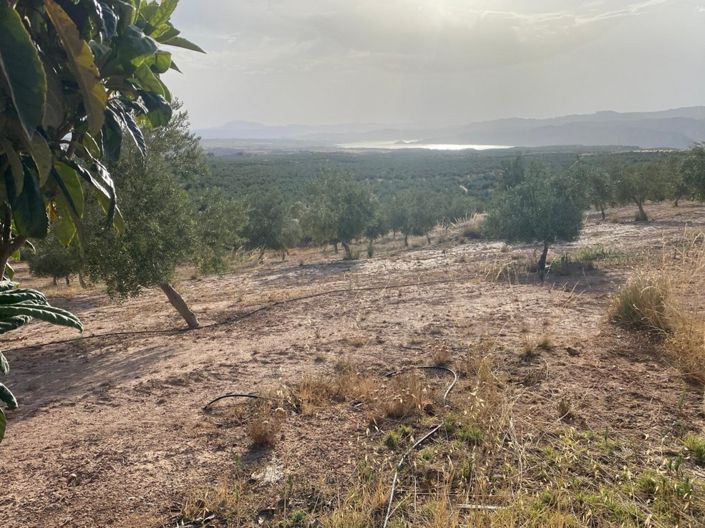 Image No.14-Propriété de 1 chambre à vendre à Zújar