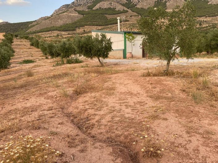 Image No.3-Propriété de 1 chambre à vendre à Zújar