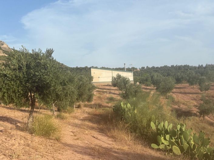 Image No.4-Propriété de 1 chambre à vendre à Zújar