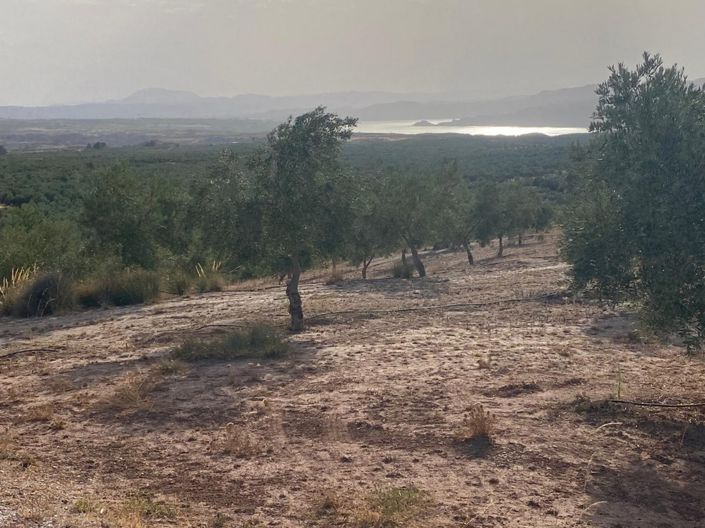 Image No.9-Propriété de 1 chambre à vendre à Zújar