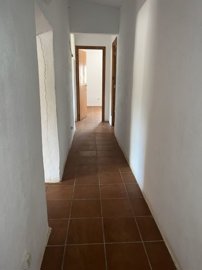v3083261