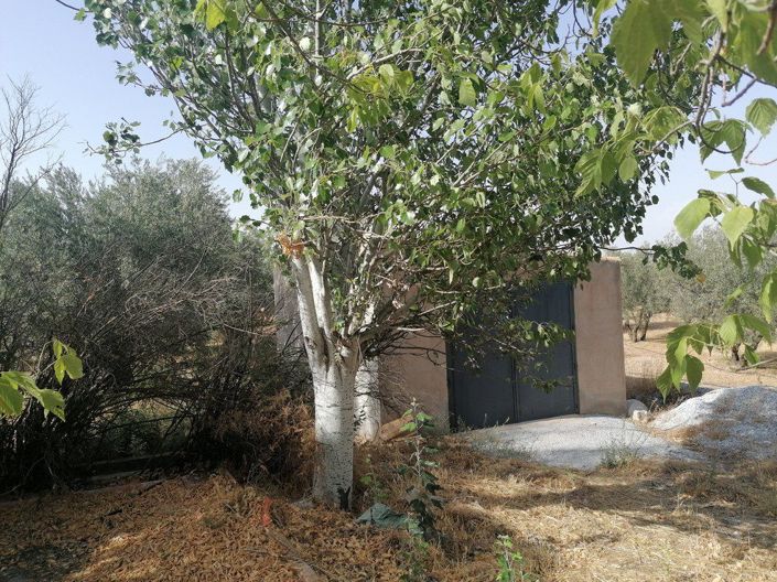 Image No.28-3 Bed Property for sale
