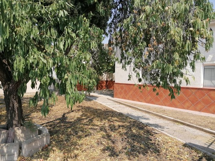 Image No.23-Cortijo de 5 chambres à vendre à Costa Tropical