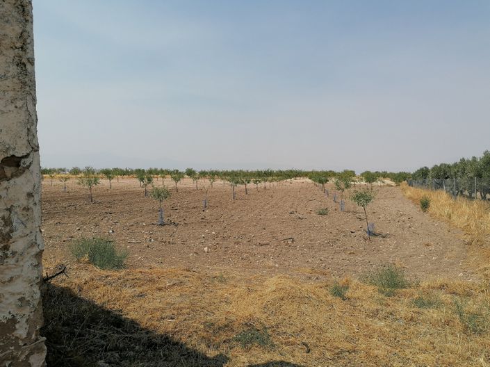 Image No.25-Cortijo de 5 chambres à vendre à Costa Tropical