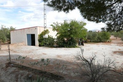 1 - Baza, Propriété
