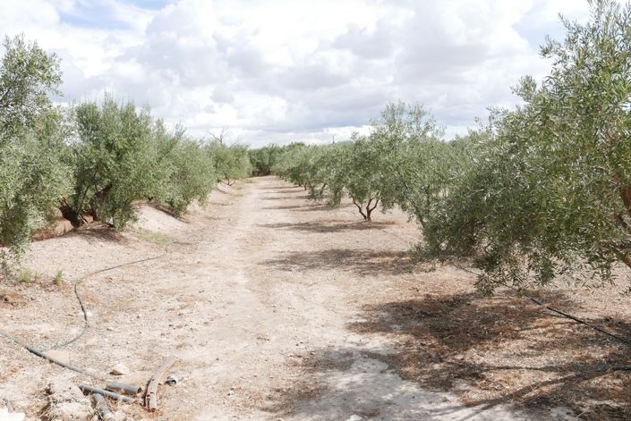 Image No.17-1 Bed Cortijo for sale