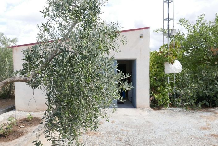 Image No.3-Propriété de 1 chambre à vendre à Baza