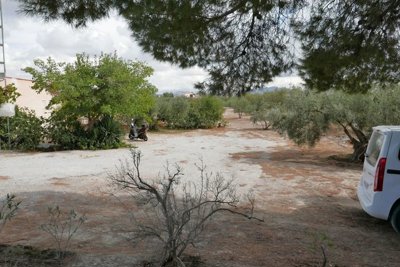 v3099247