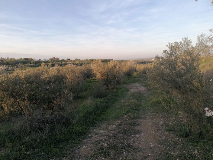 Image No.22-3 Bed Property for sale