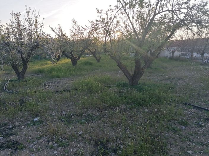 Image No.23-Propriété de 3 chambres à vendre à Baza