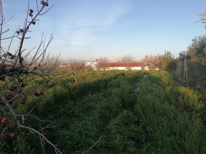 Image No.24-3 Bed Property for sale