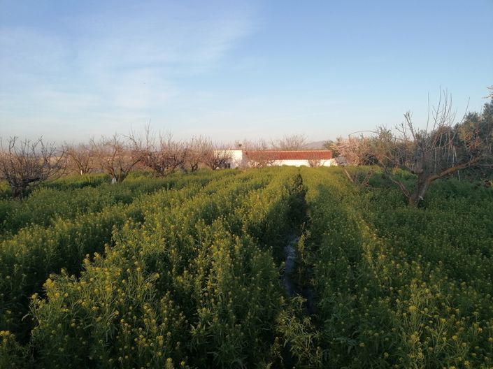 Image No.25-Propriété de 3 chambres à vendre à Baza